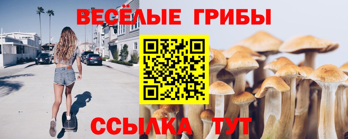 Галлюциногенные грибы MAGIC MUSHROOMS Краснодар